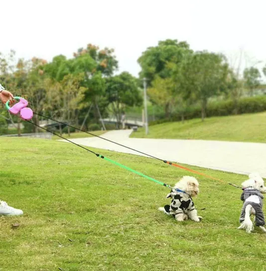 Dual Dog Retractable Leash