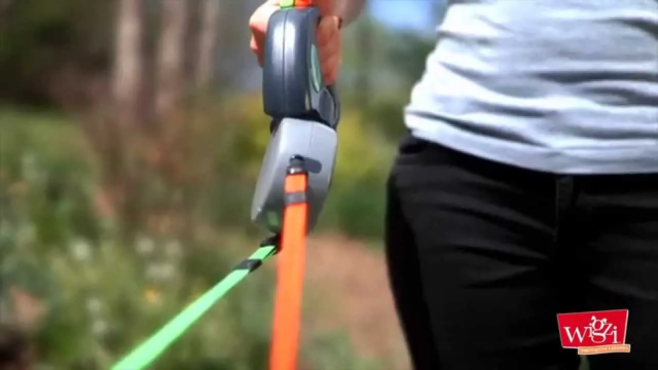 Dual Dog Retractable Leash
