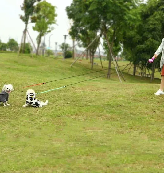 Dual Dog Retractable Leash