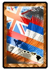 Hawaiian Flag Surfer Decal