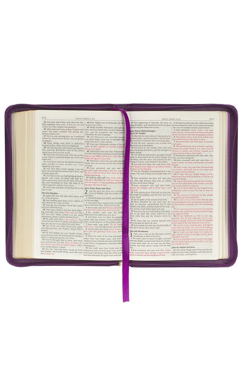Iris Purple Faux Leather KJV Zippered Compact Bible