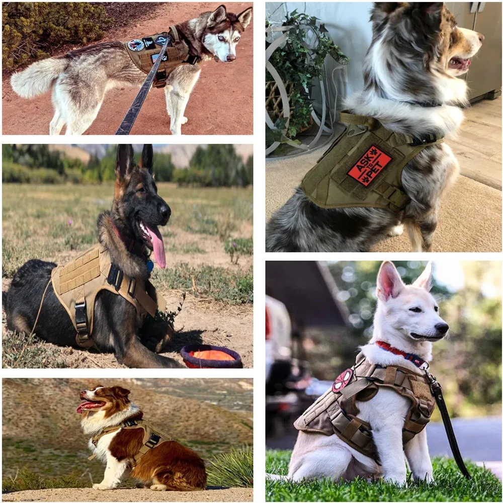 Large Dog Harness Collar Leash Molle Pouches Pet