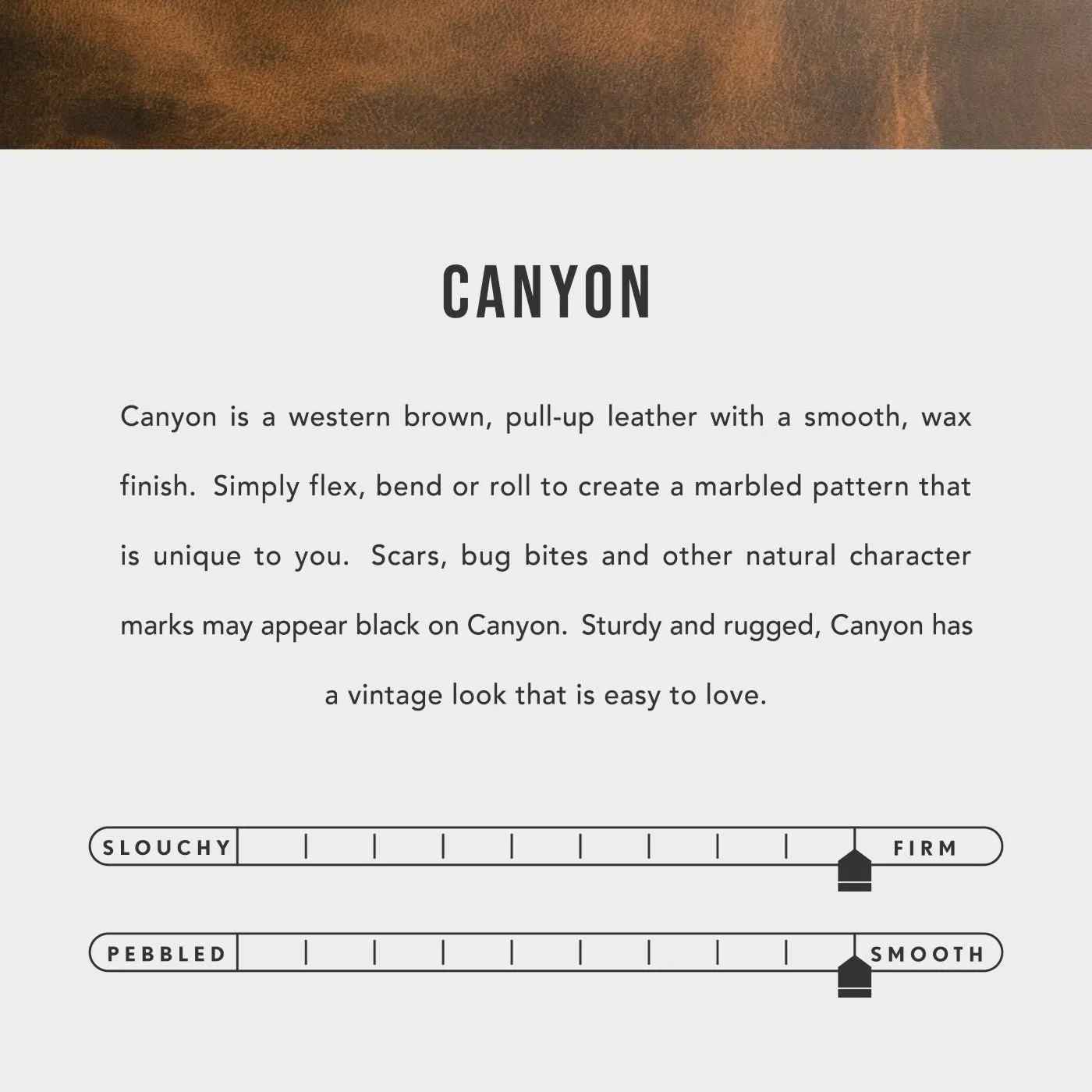 Leather Snap Journal