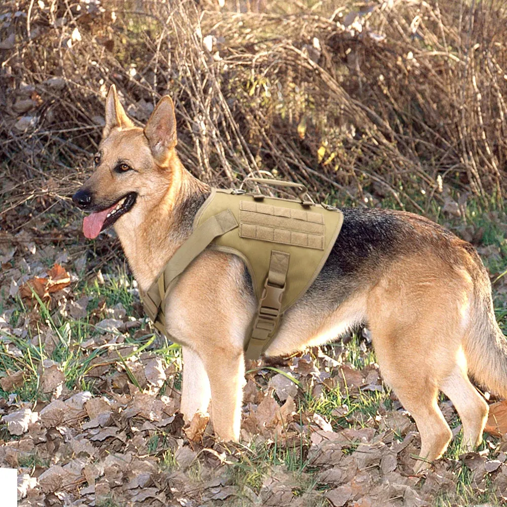 Nylon Tactical Dog Harness, Collar & Leash Combo