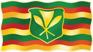 Rasta Hawaiian Flag Decal