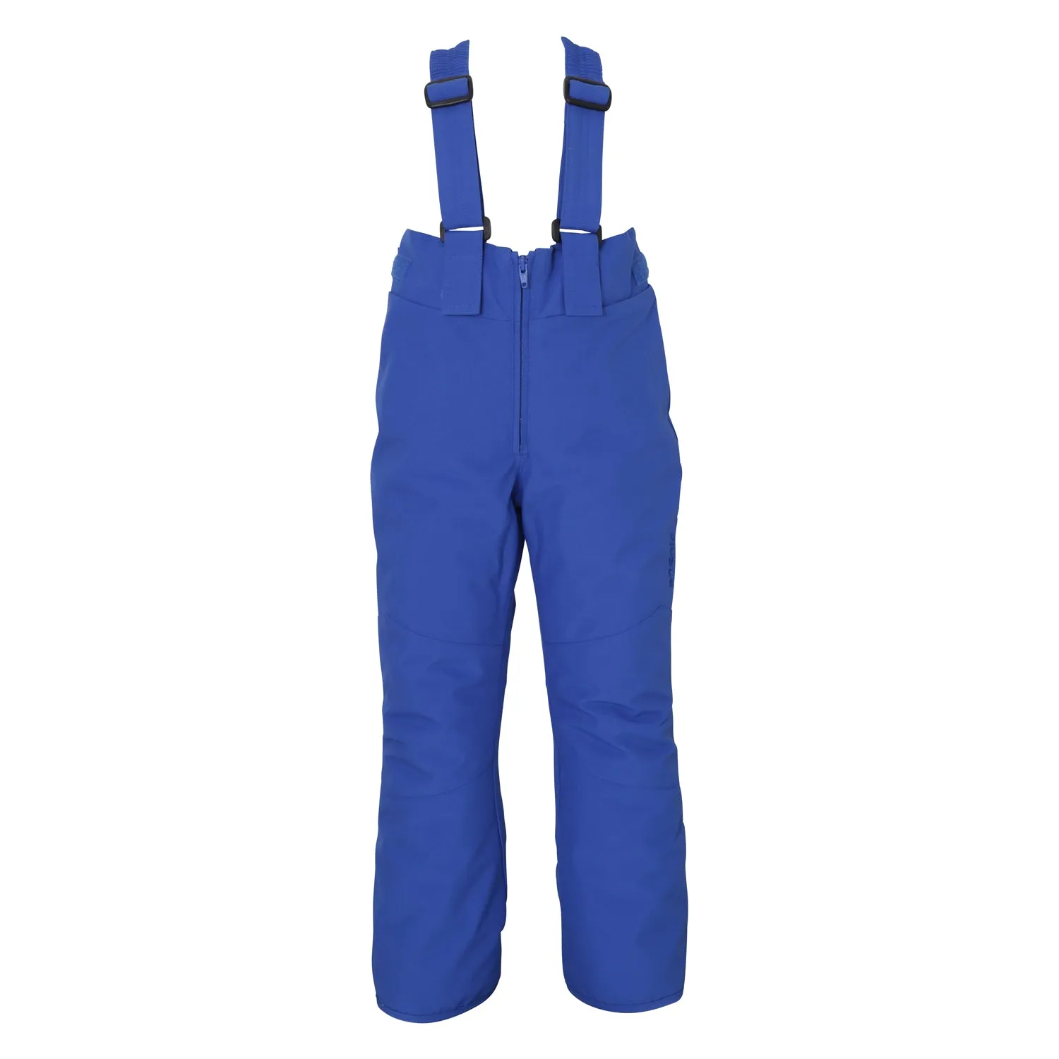Twin Peaks Kids Ski Pant 2020