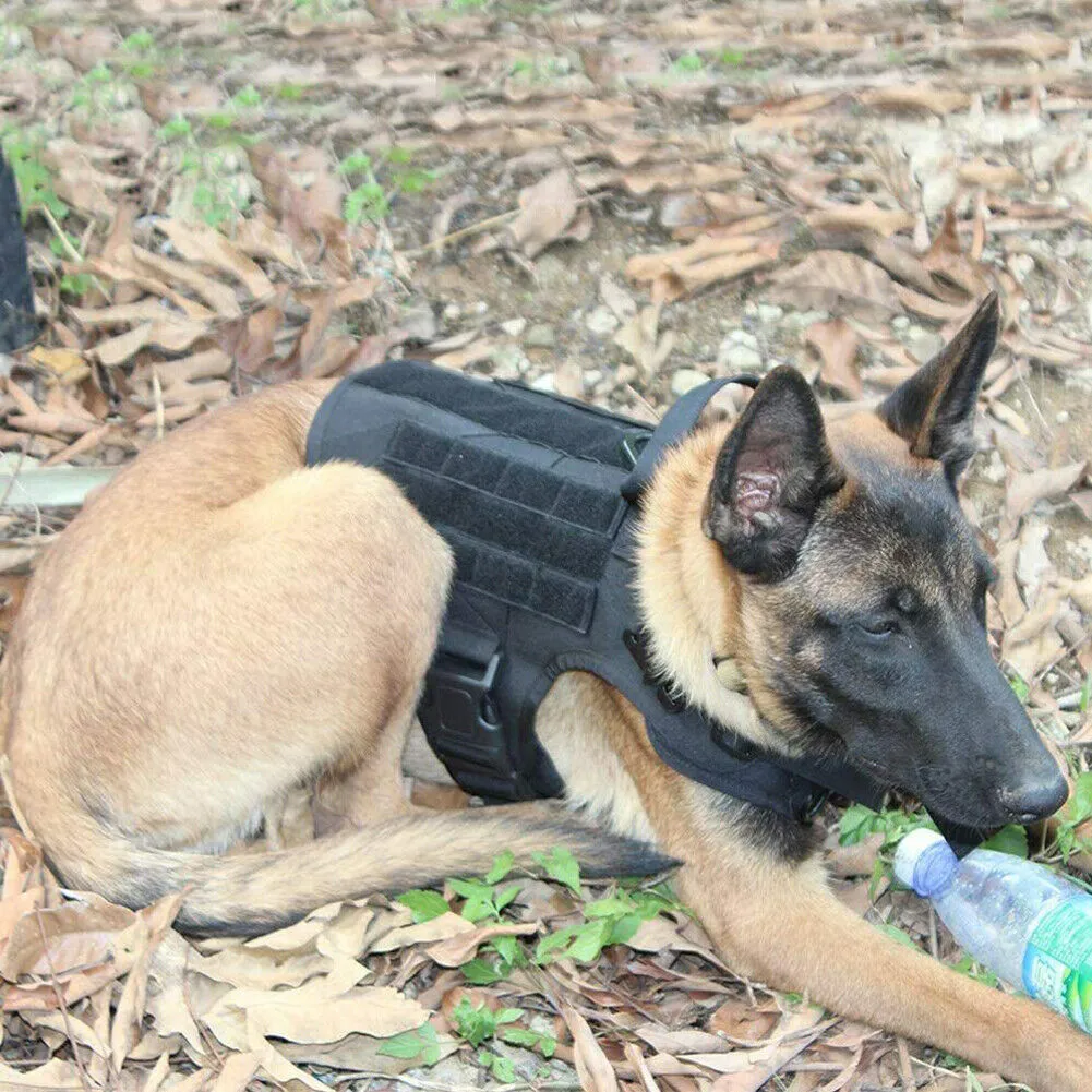 US Tactical Police K9 Training Dog Harness Military Adjustable Nylon Vest Leash