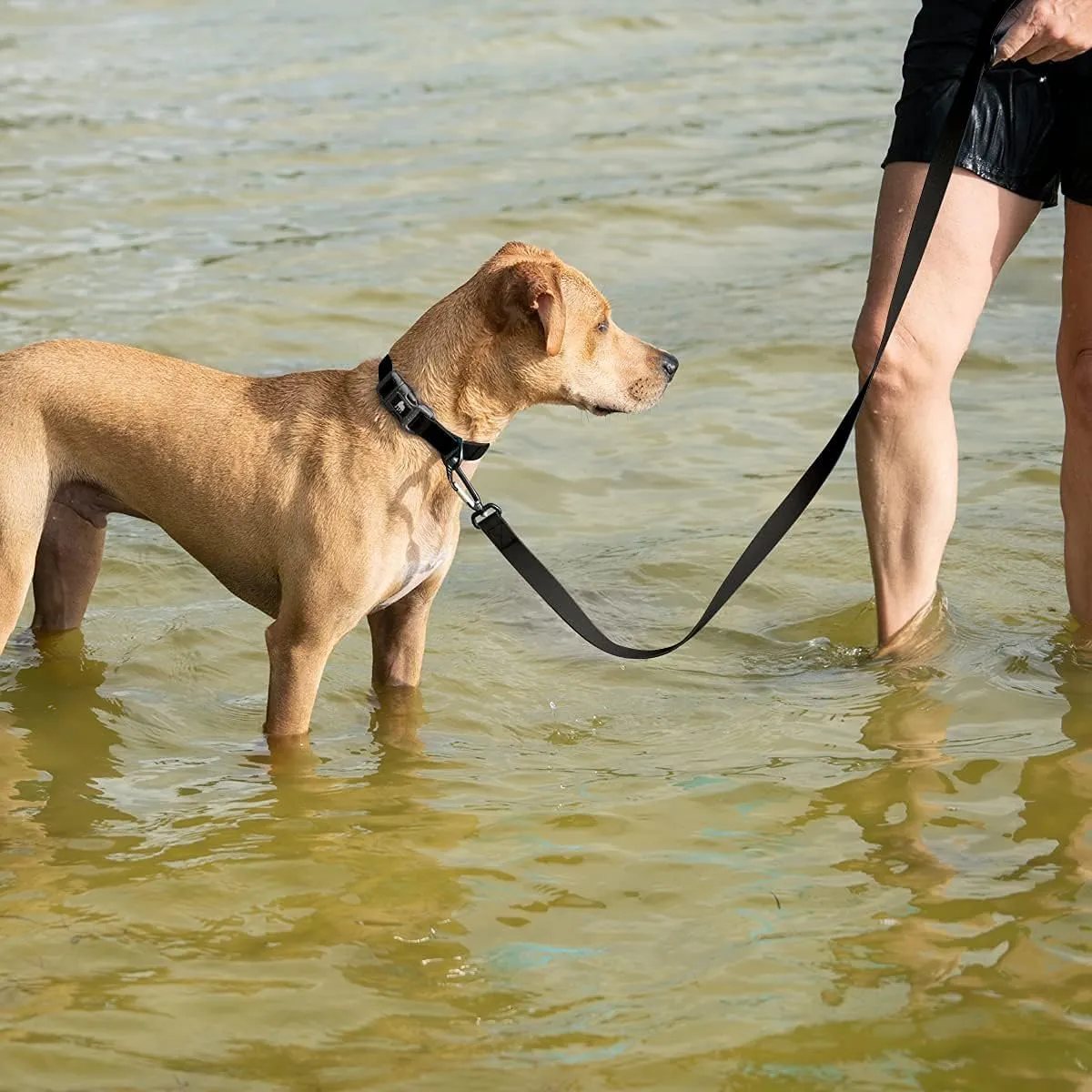 Waterproof Dog Leash with Carabiner and O-Ring