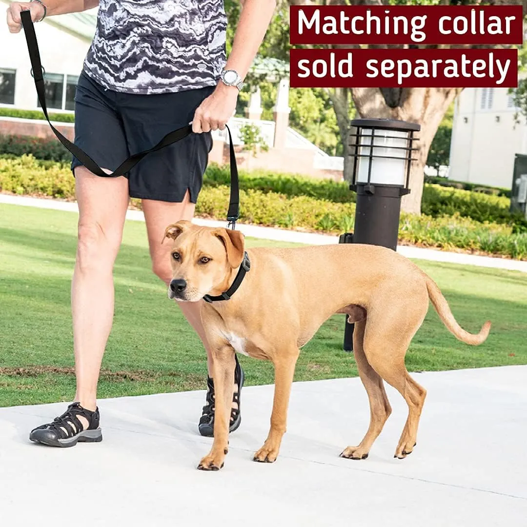 Waterproof Dog Leash with Carabiner and O-Ring