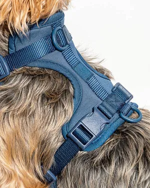Wild One - Navy Harness